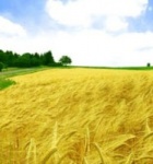 Семинары для фермеров в Алматинской области