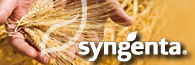 syngenta